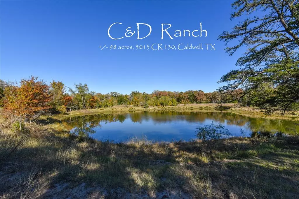 Caldwell, TX 77836,5013 County Road 130 (+/- 98 acres)