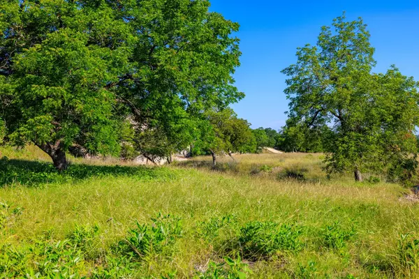 Harper, TX 78631,481 Living Water Ranch RD