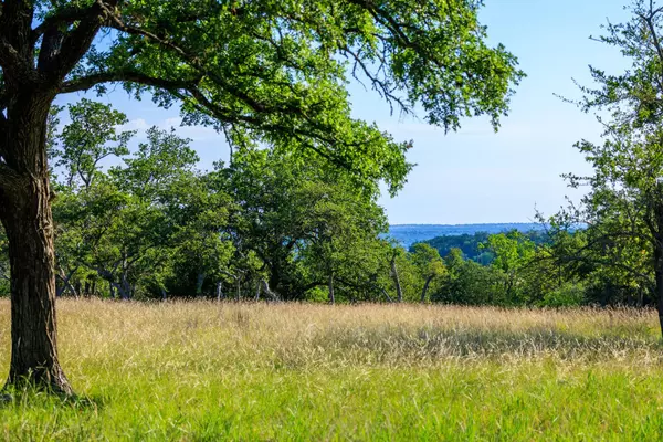 Harper, TX 78631,481 Living Water Ranch RD