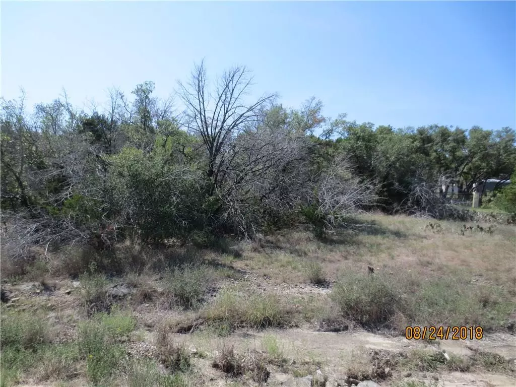 Spicewood, TX 78669,401 Cargill DR