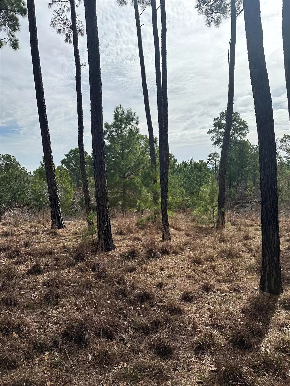 Bastrop, TX 78602,TBD Mahalo CT