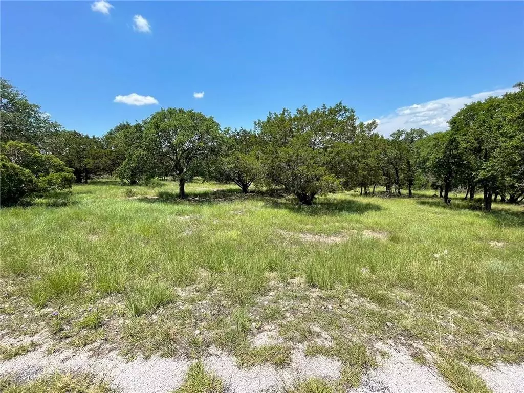 Horseshoe Bay, TX 78654,602 Silver Mane