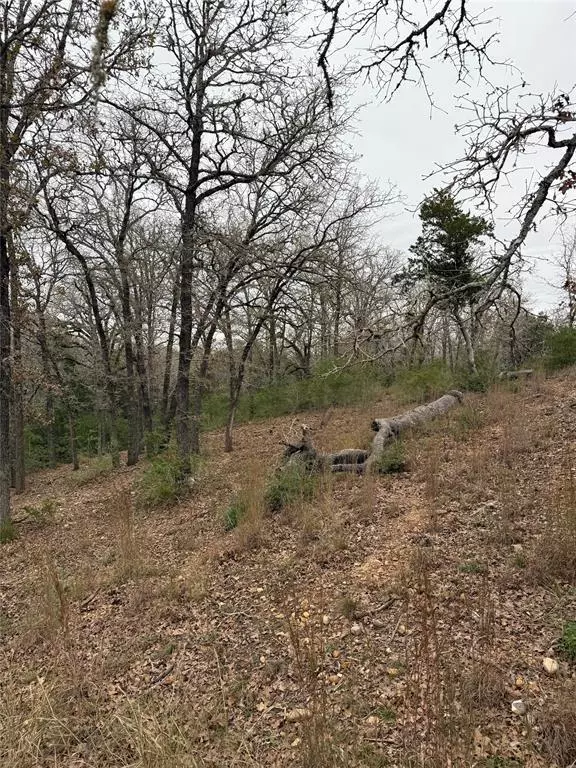 Bastrop, TX 78602,000 Wailupe CIR