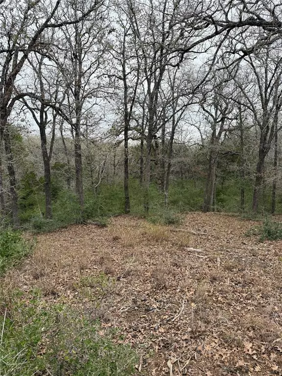 Bastrop, TX 78602,000 Wailupe CIR