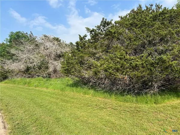 8 Verbena ST, Belton, TX 76513