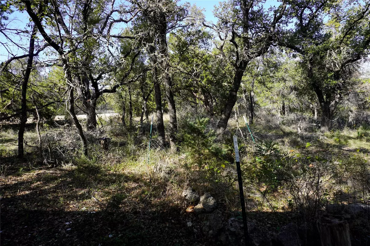 Spicewood, TX 78669,Address not disclosed