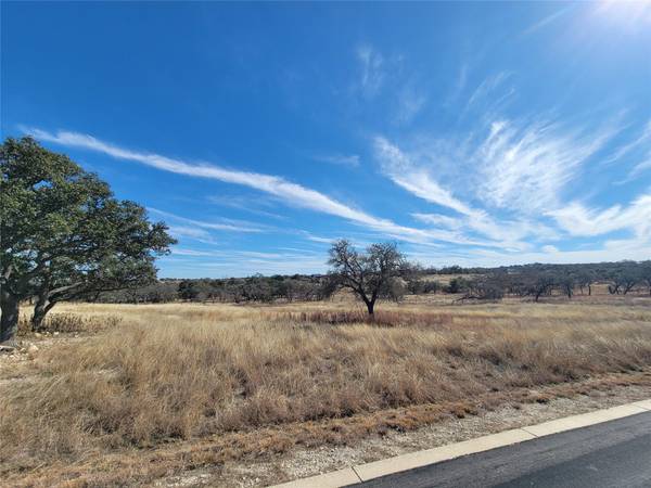 Fredericksburg, TX 78624,120 crepe myrtle CT