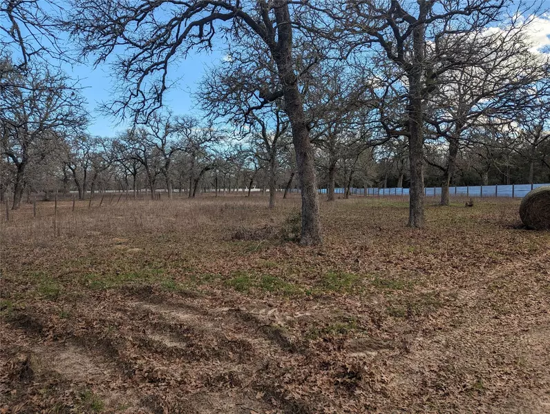 TBD Country Road B, Blue, TX 78947