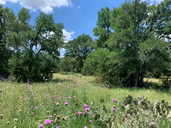 Austin, TX 78737,Lot0 Trautwein RD