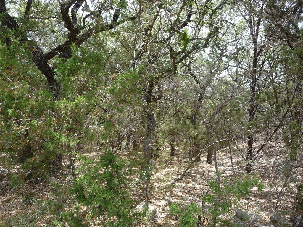 21503 Santa Elena CIR, Lago Vista, TX 78645