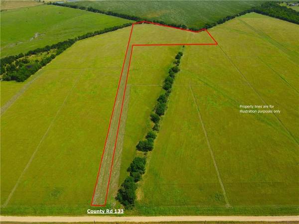 TBD County Road 133 Lot #17 RD #17, Ben Arnold, TX 76519