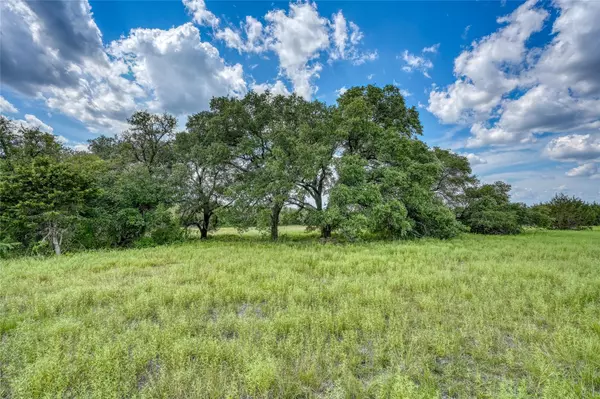 Briggs, TX 78608,266 Miller Creek Bluff