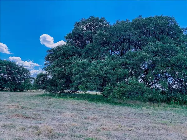 120 W Annie Oakley TRL,  Driftwood,  TX 78619