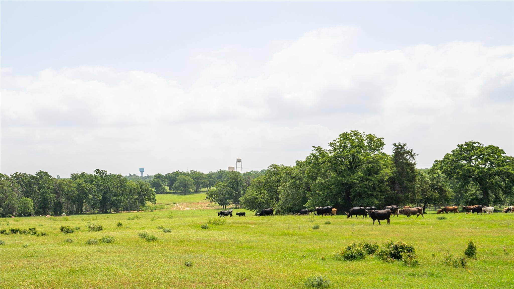 624 County Road 306, Rockdale, TX 76567