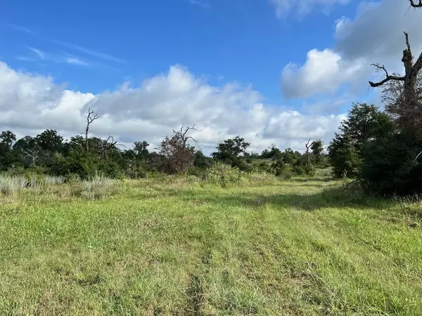 Milano, TX 76556,Lot 4 & 7 CR 322