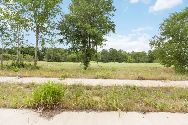 Bastrop, TX 78602,617 Waugh WAY