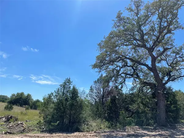 300 Willow Oaks Drive HWY, Goldthwaite, TX 76844