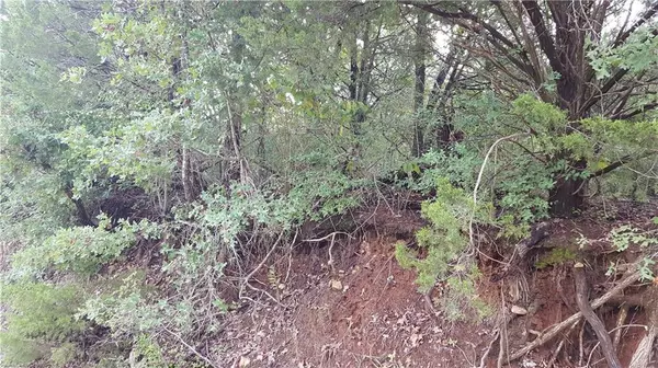 165 Haleakala DR, Bastrop, TX 78602