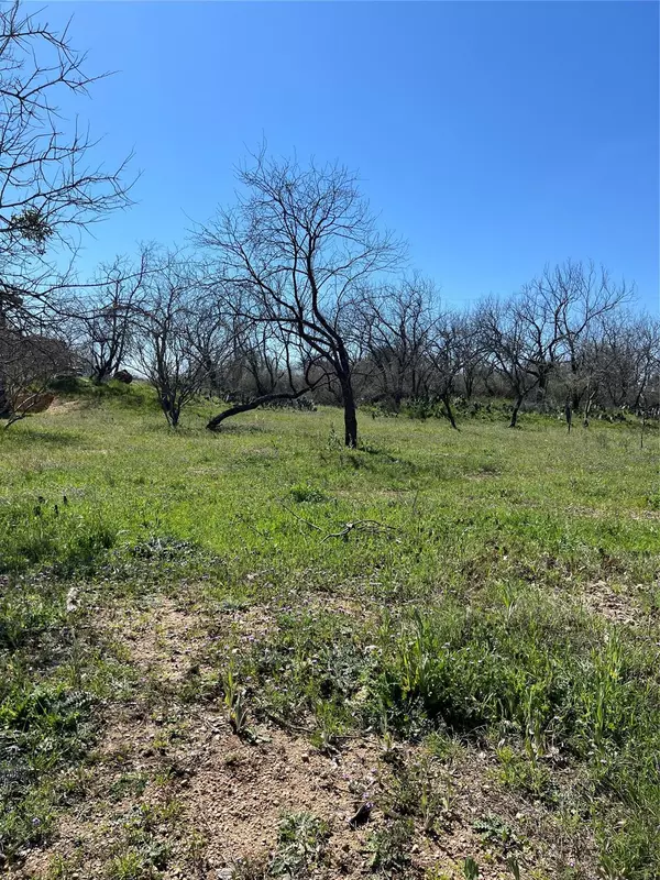 Granite Shoals, TX 78654,Lot 397 E. Mesquite Dr.