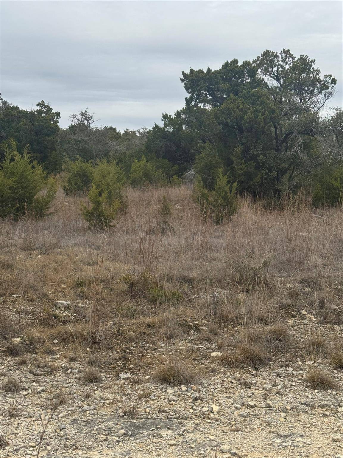 Dripping Springs, TX 78620,31858 Ranch Road 12 #Lot 8