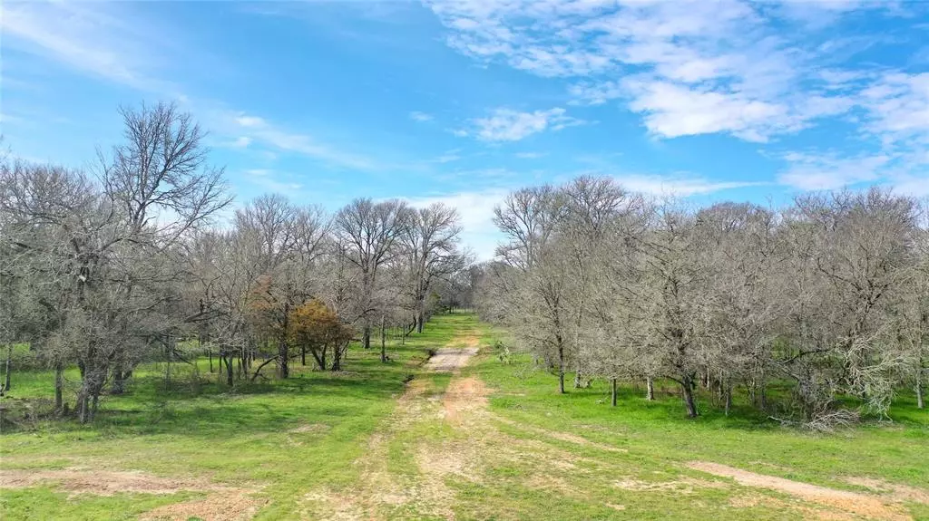 Paige, TX 78659,TBD CR 203