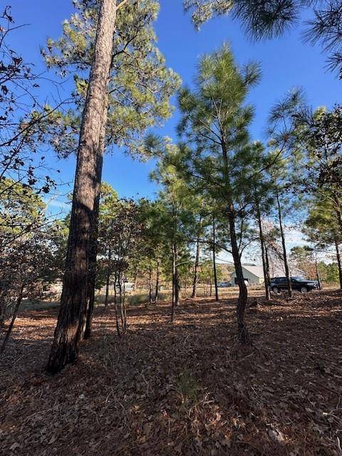 Bastrop, TX 78602,0 TBD Hana CT
