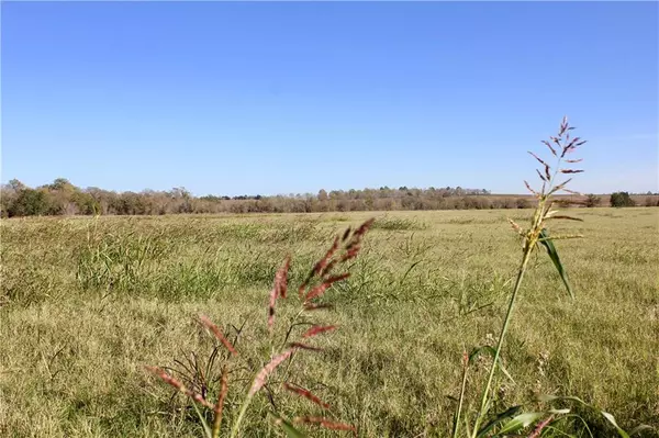 0 County Road 460,  Thorndale,  TX 76577