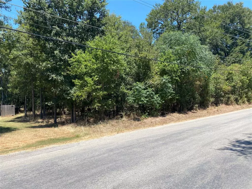 Bastrop, TX 78602,Lot 1296 Lamaloa LN