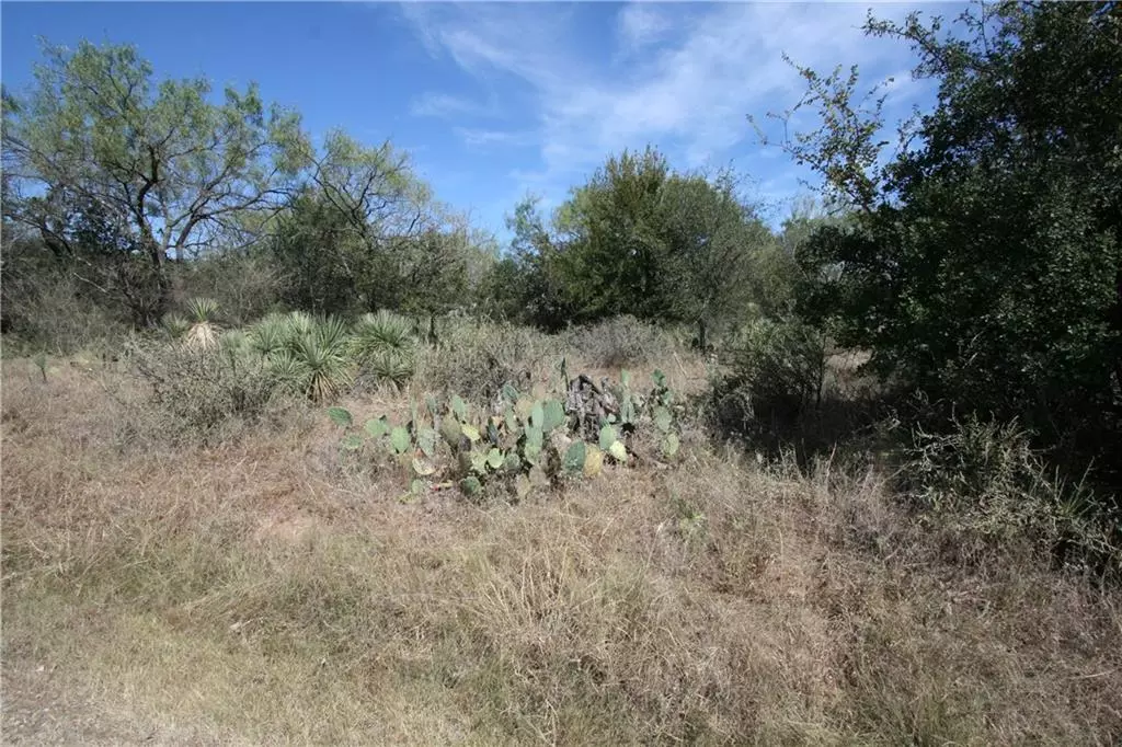 Granite Shoals, TX 78654,Lot 223 & 224 Northcrest DR