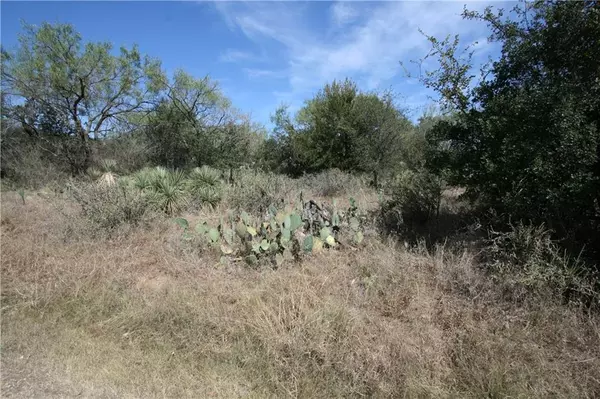 Lot 223 & 224 Northcrest DR, Granite Shoals, TX 78654