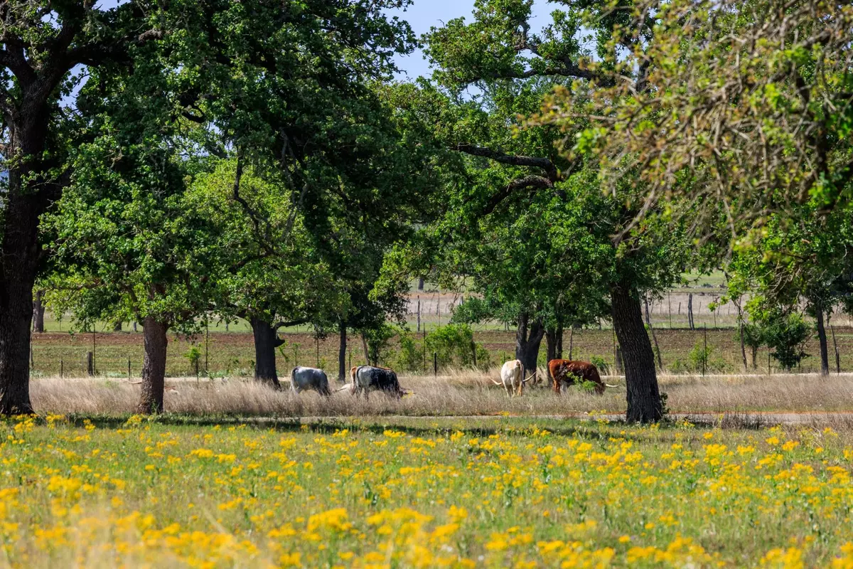 Fredericksburg, TX 78624,Lot 23 Spencer CT