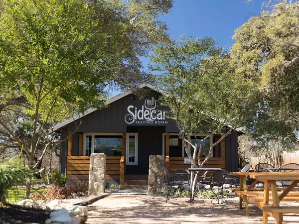 Dripping Springs, TX 78620,251 Cathedral Mountain DR