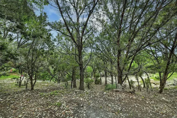 Spicewood, TX 78669,19418 FISHER LN