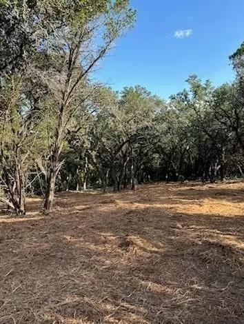 Wimberley, TX 78676,401 Mountain Crest DR