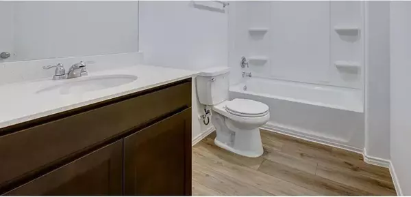 Kyle, TX 78640,272 Northern Pintail