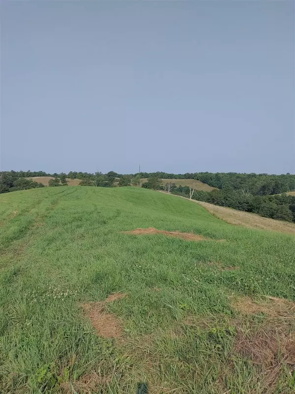 Tract #4 Stone Lane, Sadieville, KY 40370