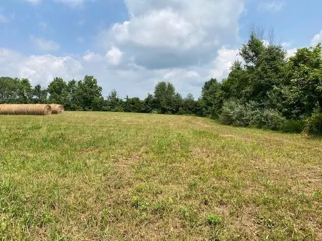 1899 Kentontown Rd., Mt. Olivet, KY 41064