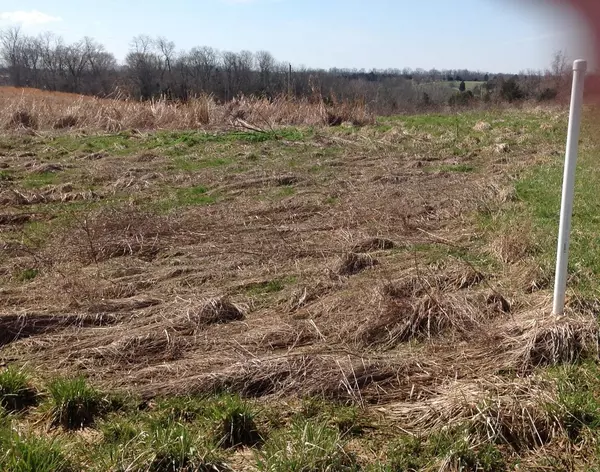 Maysville, KY 41056,7007 N Bear Wallow Road