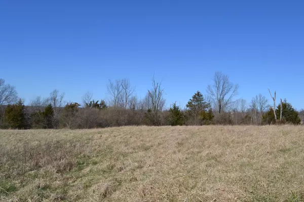 Williamstown, KY 41097,00 Hogg Ridge Road