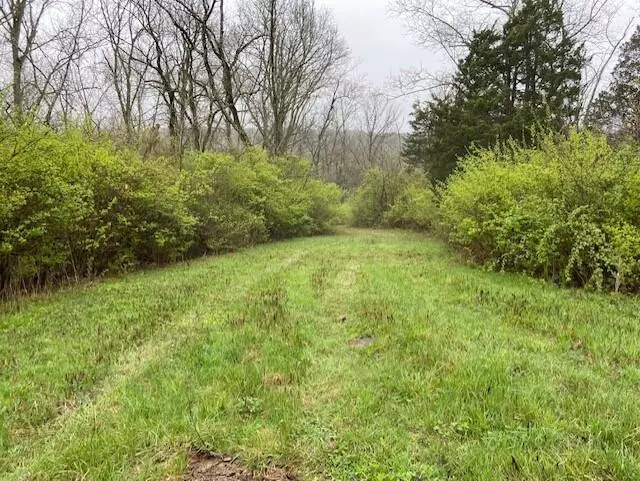 1030 Mann Lane, Mt. Olivet, KY 41064