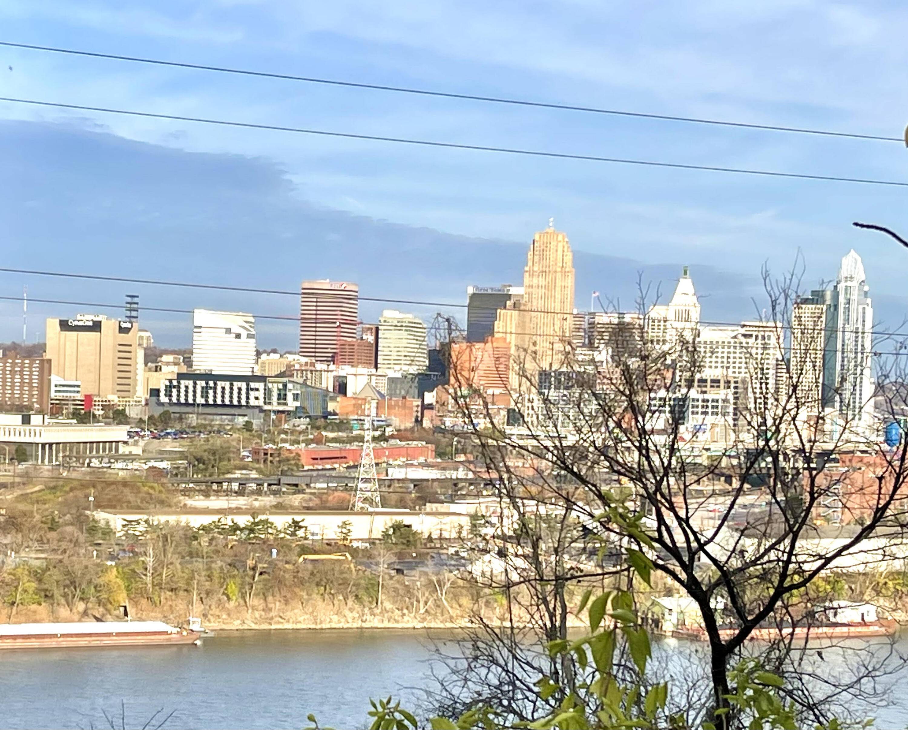 1401 Livingston Street, Covington, KY 41016