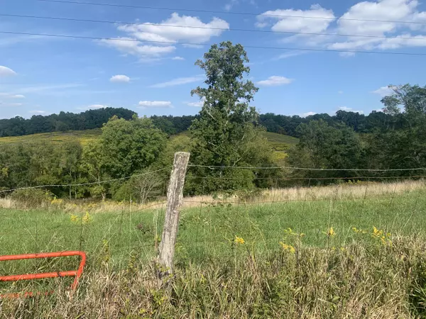 29.32 acre Needmore Cordova Road, Berry, KY 41003