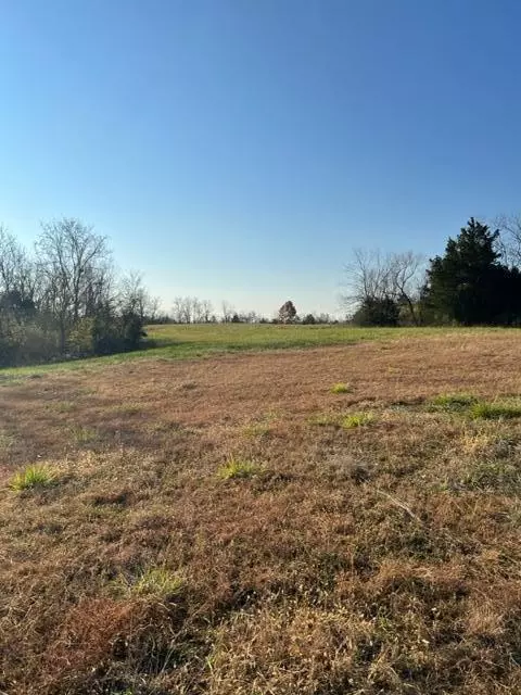 Demossville, KY 41033,lot 4 HWY 491