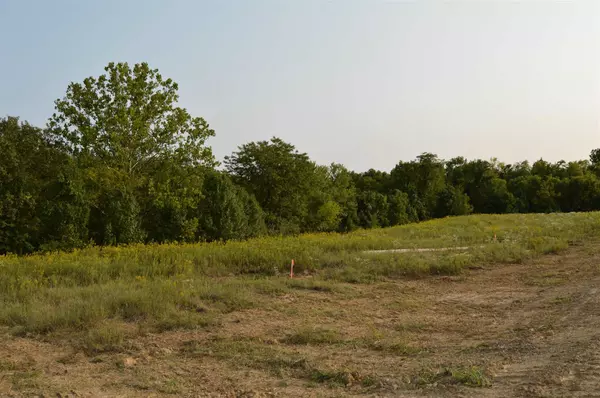 Lot 1 Crown Point Circle, Crestview Hills, KY 41017