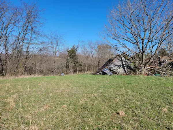 Mt. Olivet, KY 41064,0 Pea Ridge Road