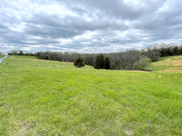 16188 Grassy Creek Road, Demossville, KY 41033