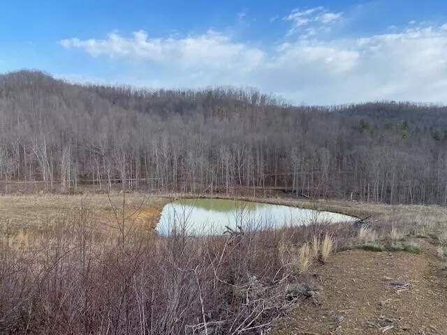 4555 Straight Fork Road, Vanceburg, KY 41179