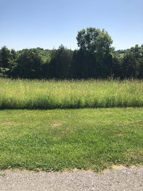 Lot 9A Adalin Drive, Demossville, KY 41033