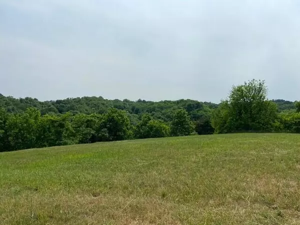 Mt. Olivet, KY 41064,385 Hidden Acres