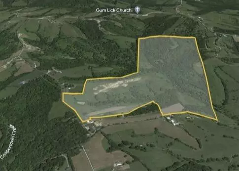 Williamstown, KY 41097,44.6 acres Old Cynthiana Road